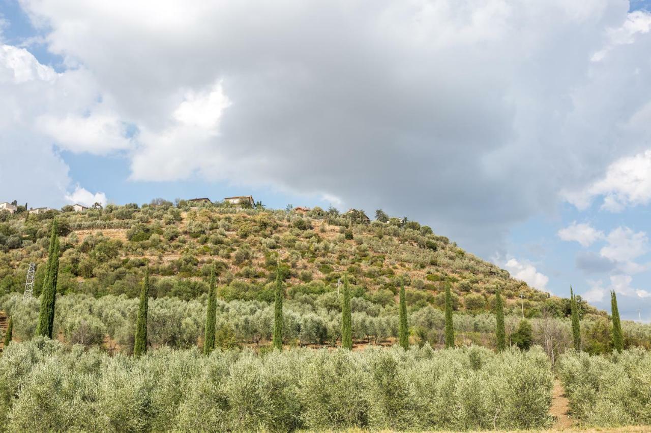 דירות Montenero d'Orcia Little Val D'Orcia מראה חיצוני תמונה